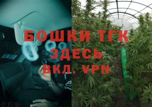 дмт Алексин