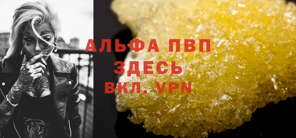 винт Дмитриев